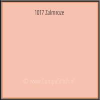 1017 ZALMROZE - Klik aan voor een vergroting